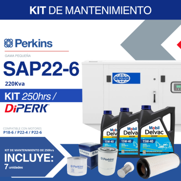 KIT DE MANTENIMIENTO P22 Perkins 250 horas